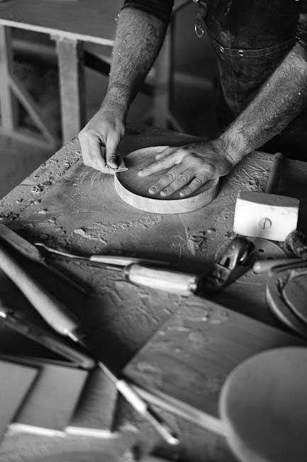 resident assessment instrument manual