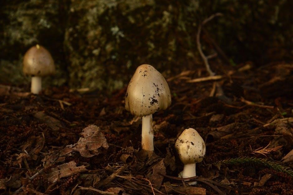 ryokos guide to the yokai realms pdf