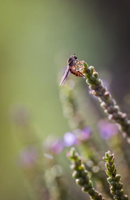 buzzy seeds instructions